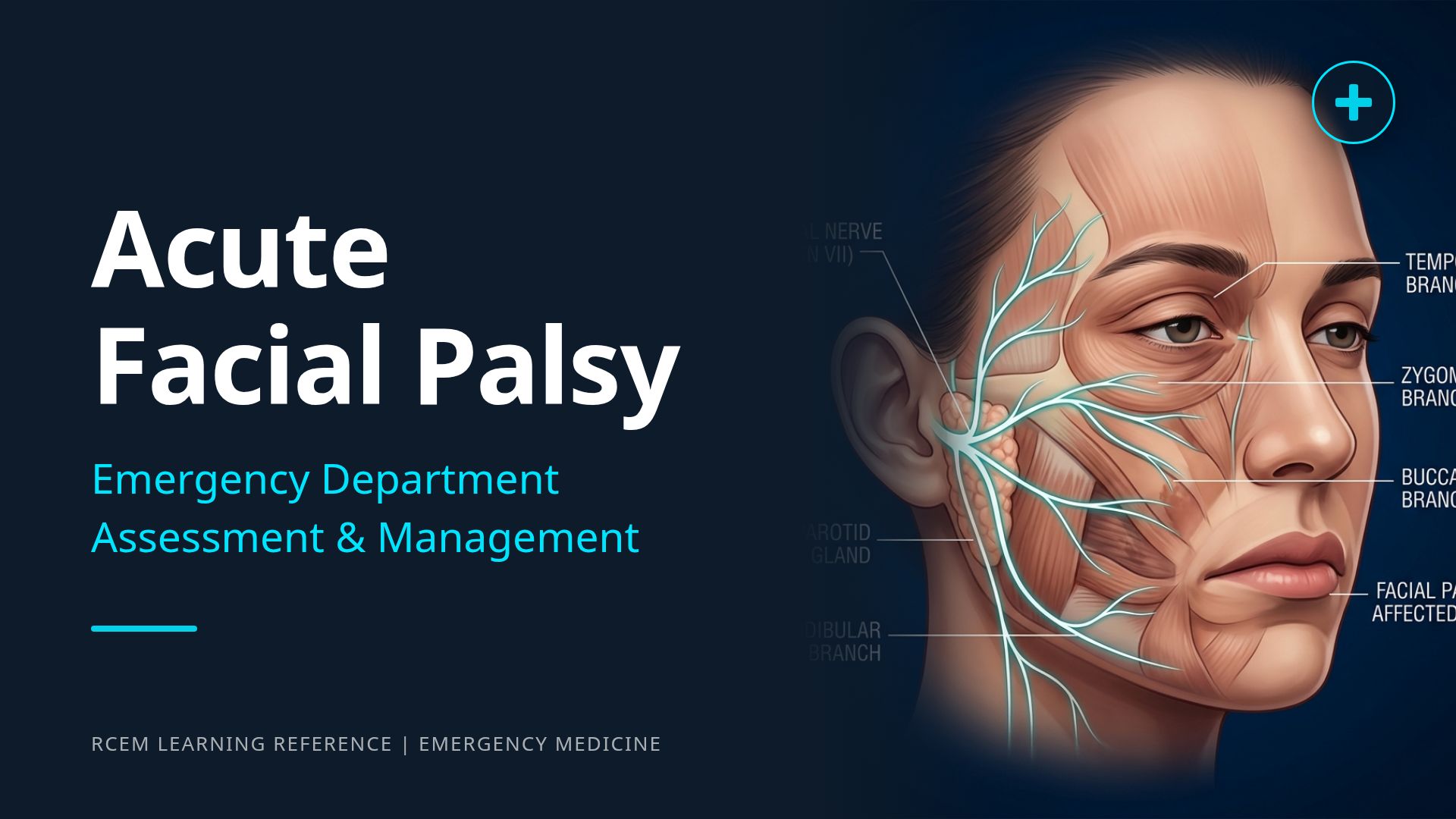 Acute Facial Palsy: ED Assessment & Management Guide