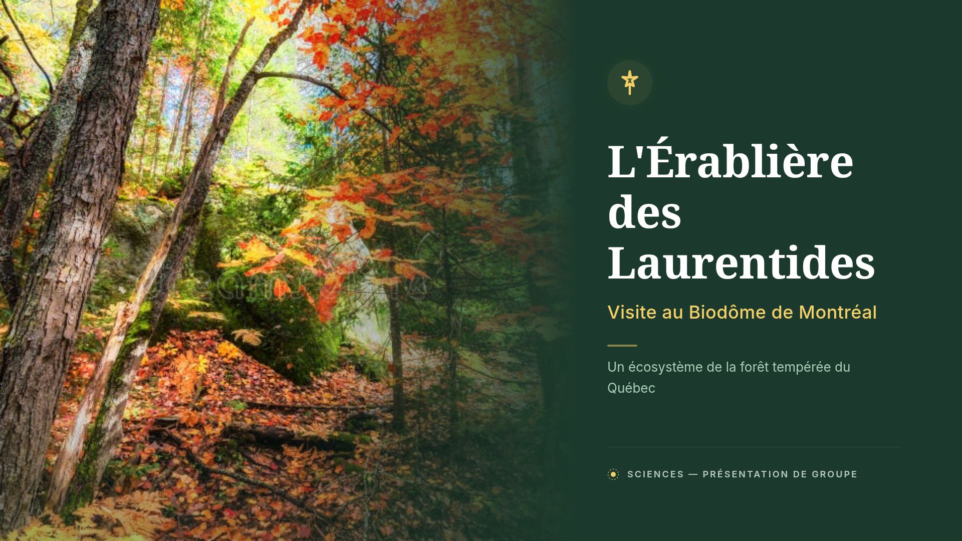 Écosystème de l'Érablière des Laurentides : Guide Biodôme