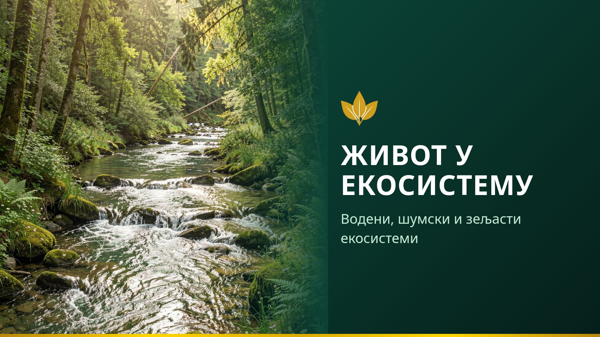 Живот у екосистему: Водени, шумски и зељасти екосистеми