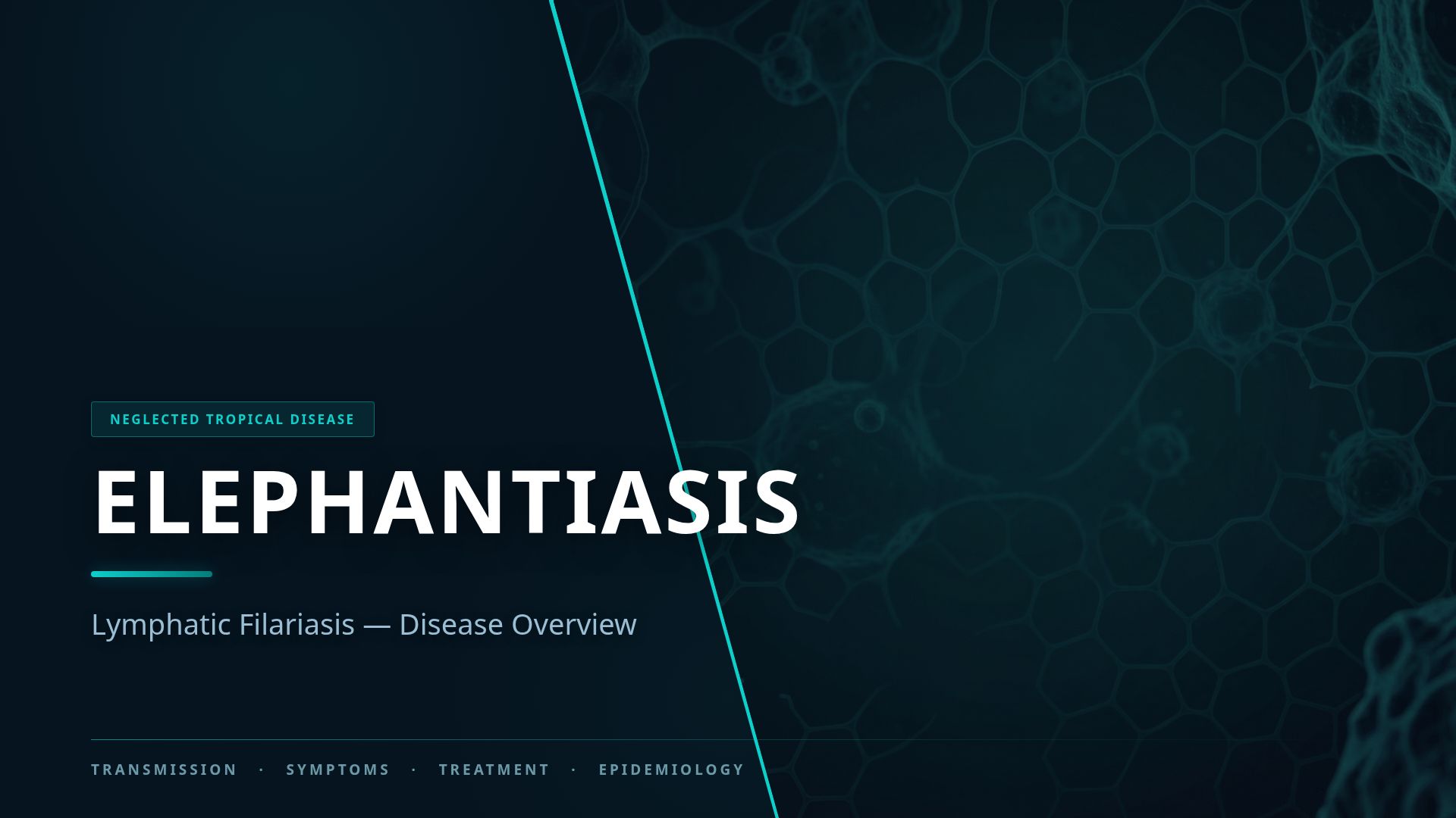 Lymphatic Filariasis (Elephantiasis): Causes & Treatment
