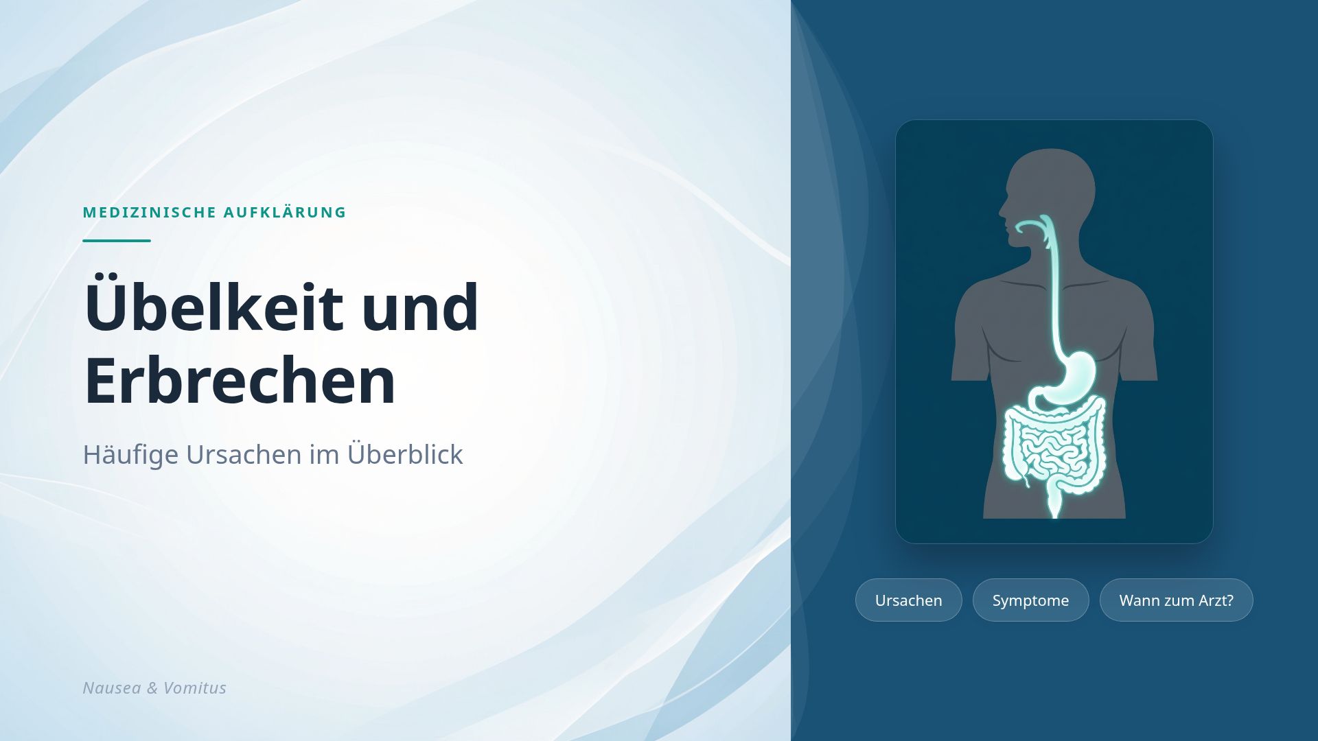 Übelkeit und Erbrechen: Ursachen, Symptome & Warnzeichen