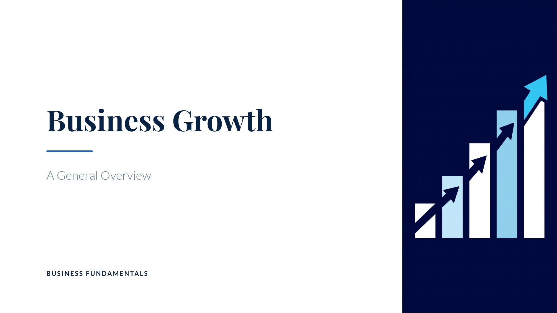 Business Growth Strategies and Fundamentals Overview