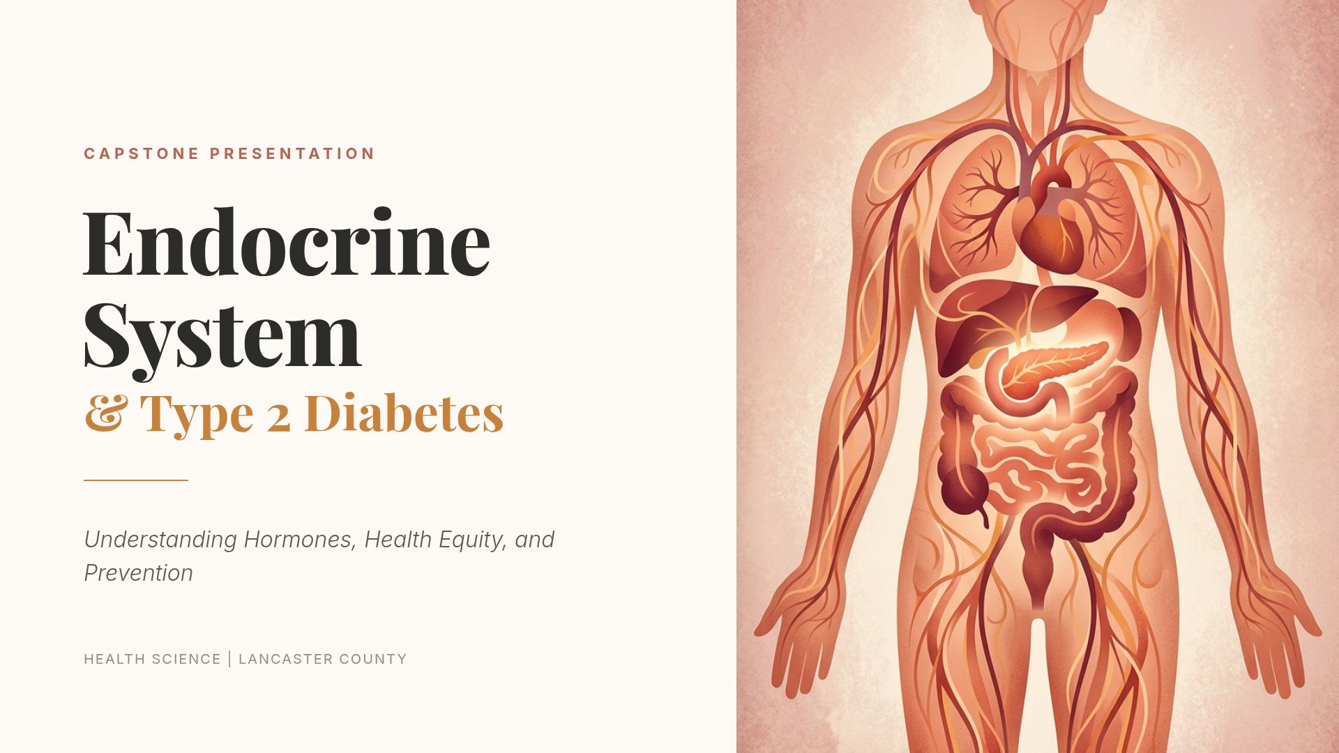 Endocrine System, Type 2 Diabetes & Health Equity Guide