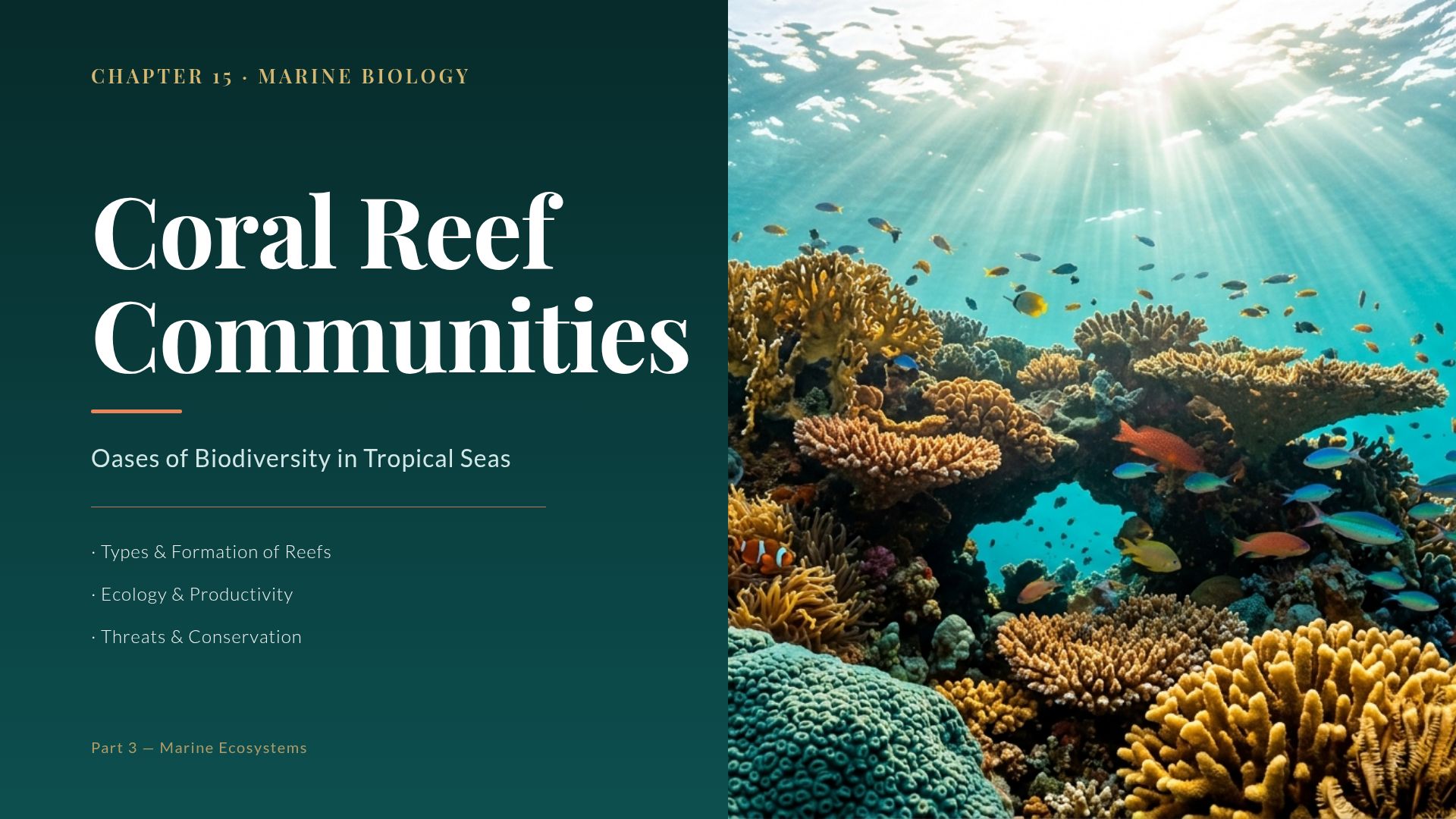 Coral Reef Communities: Marine Biology and Conservation
