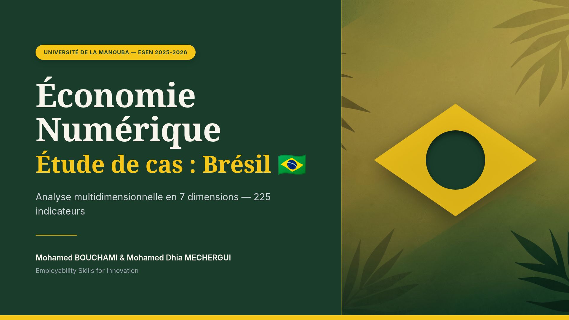 Économie Numérique du Brésil : Analyse et 225 Indicateurs