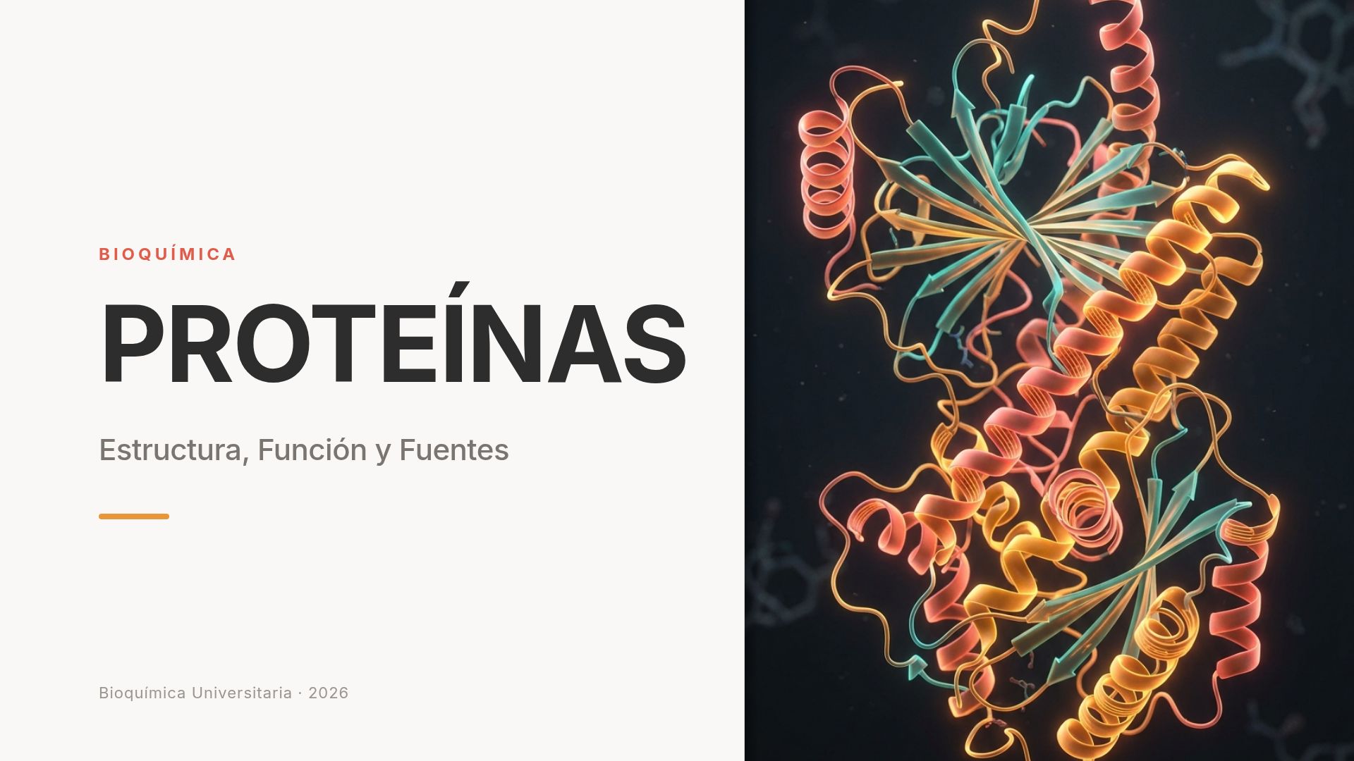 Proteínas: Estructura, Función y Fuentes | Bioquímica