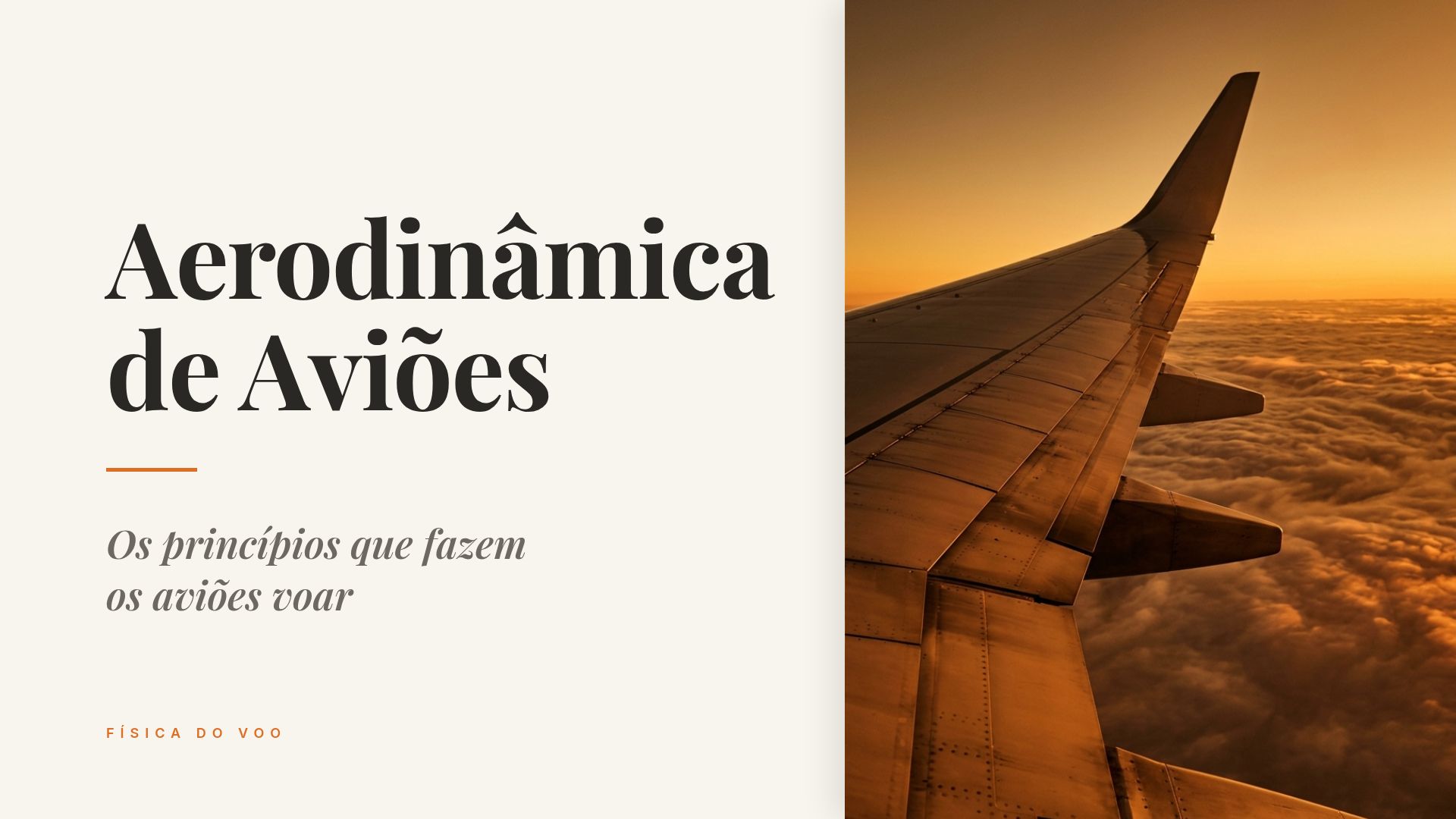 Aerodinâmica de Aviões: Princípios e Física do Voo