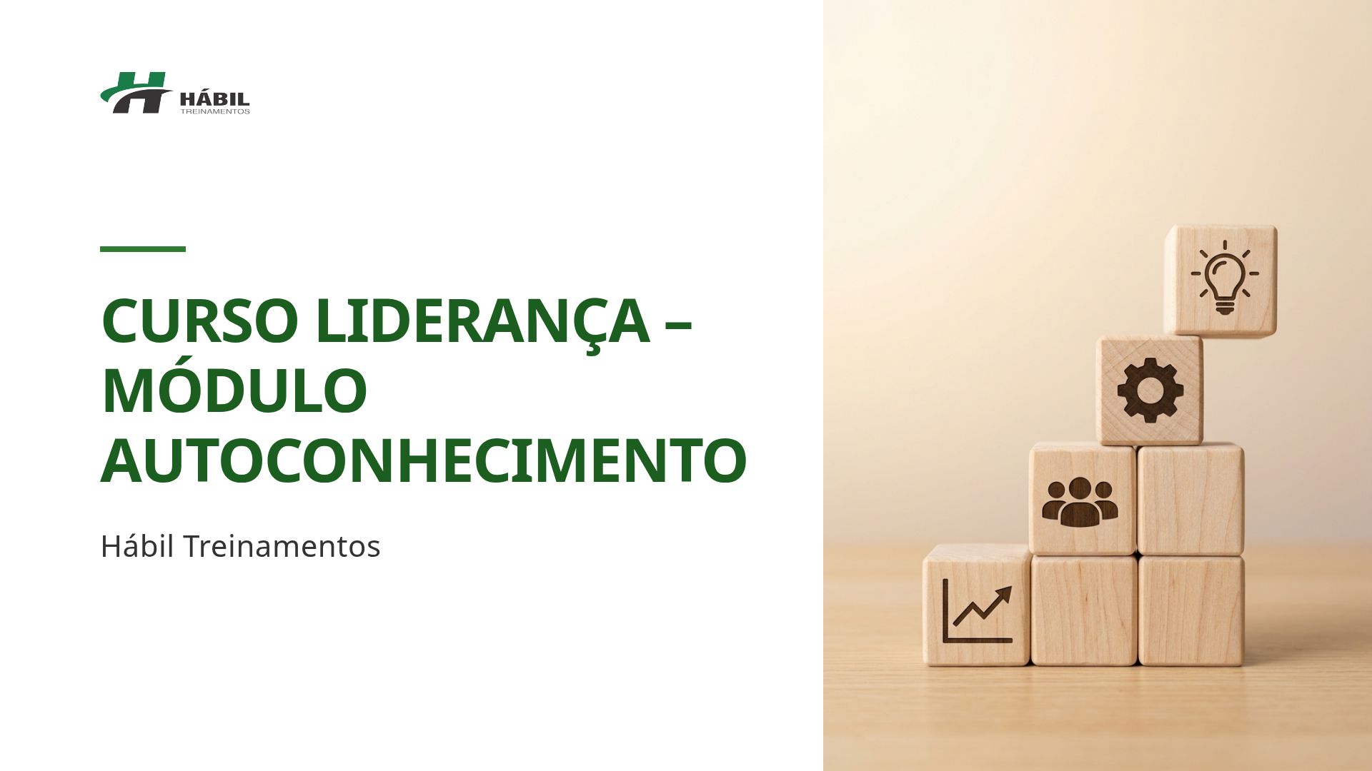 Autoconhecimento e Inteligência Emocional para Líderes