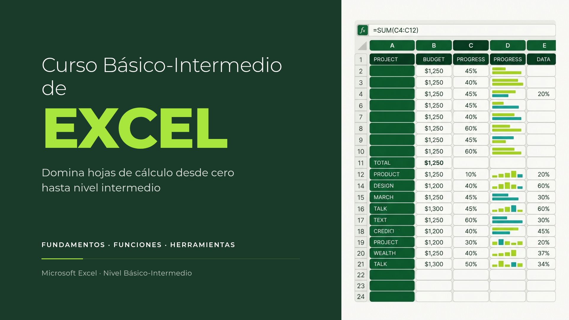 Curso de Excel: Nivel Básico e Intermedio