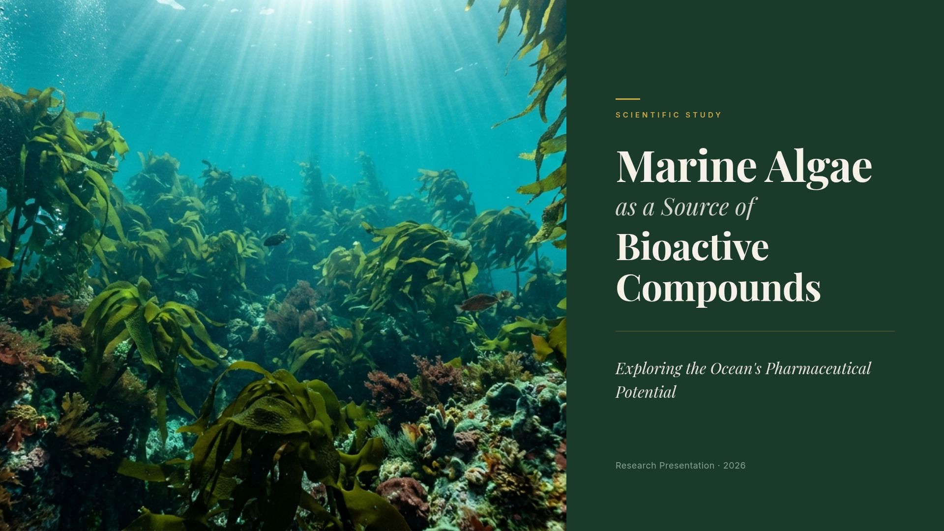 Marine Algae: Bioactive Compounds & Pharmaceutical Potential