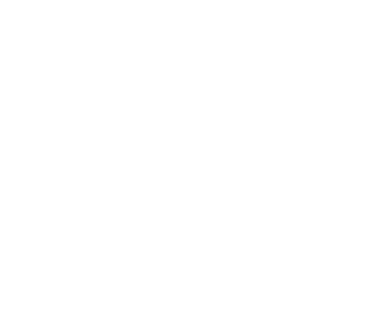 Target Icon