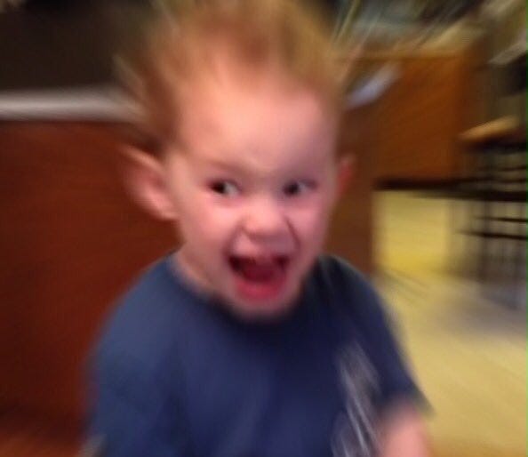 Gavin meme or funny celebrating success reaction image