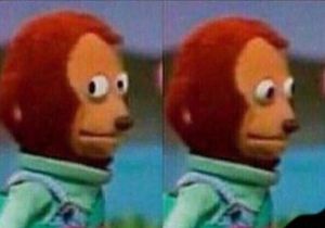 puppet monkey looking away meme