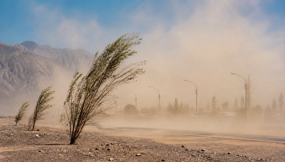 Zonda Wind Landscape