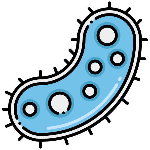 Protozoa