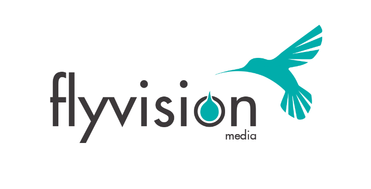 Flyvision Logo