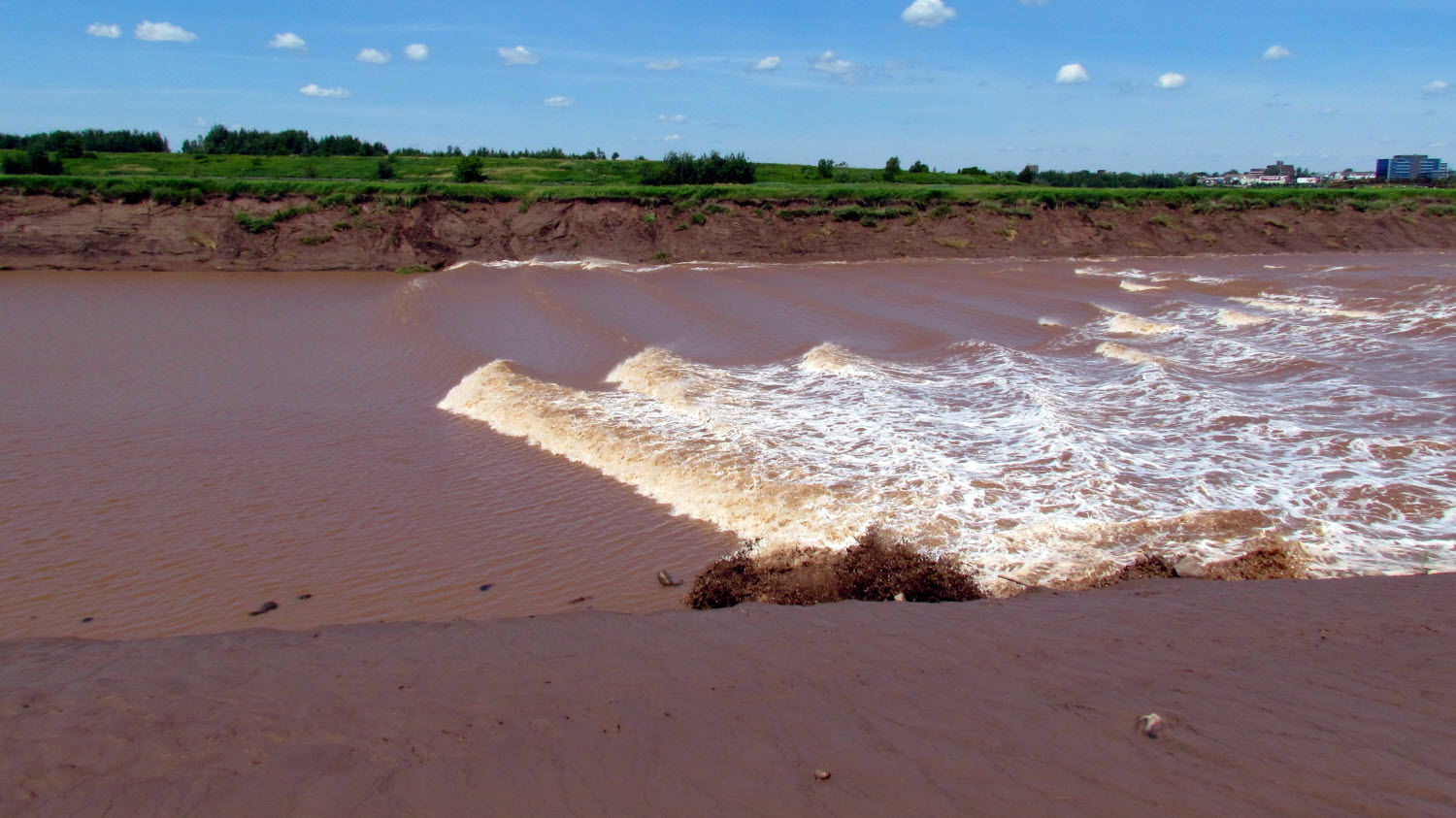 Moncton Nature Photo