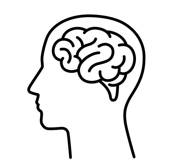 brain icon head profile line art