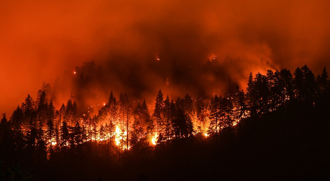 Natural Disaster