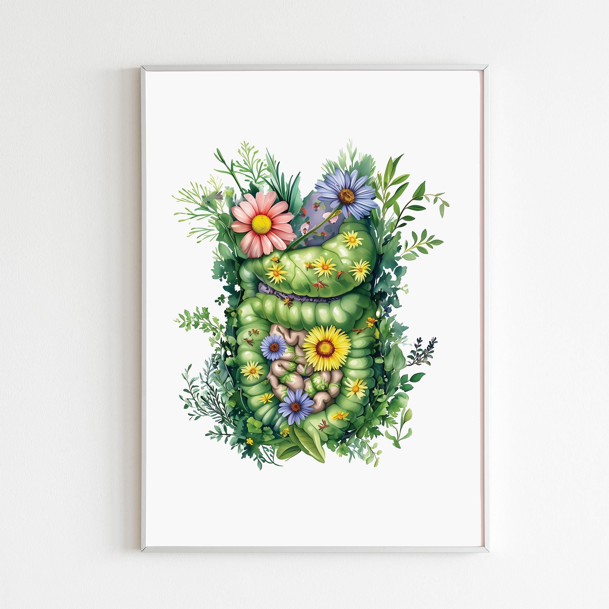 Decorative anatomical botanical illustration