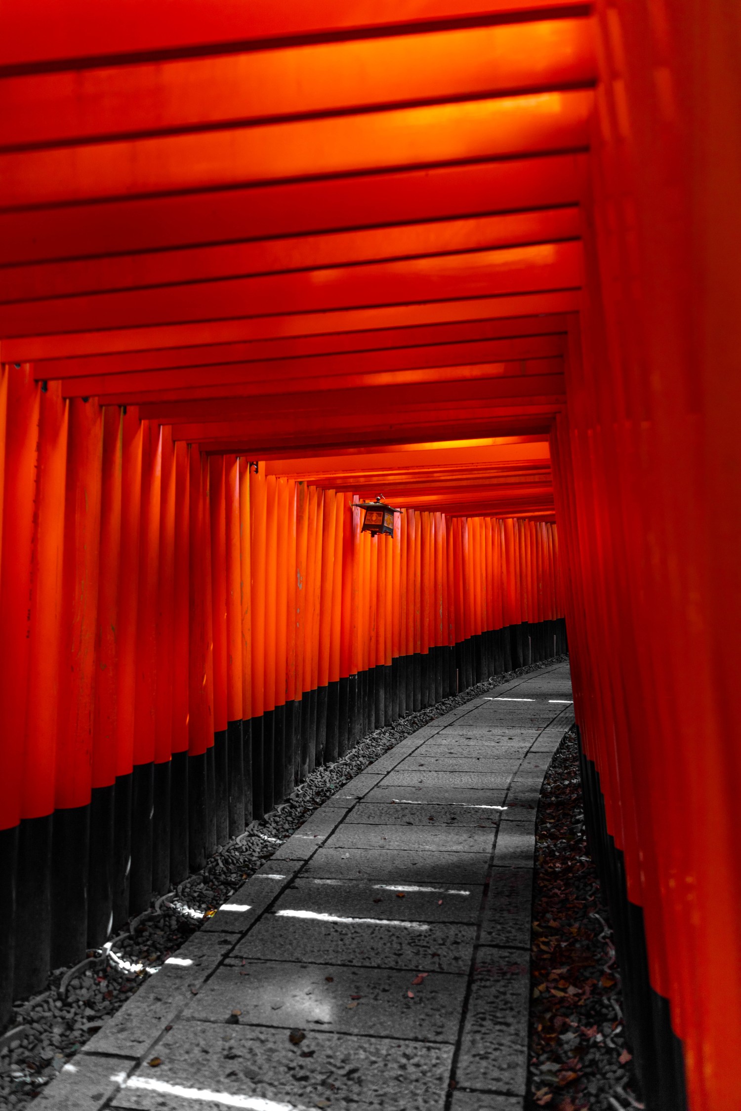 Cinematic shot of Fushimi Inari Shrine in Kyoto, ultra realistic, dramatic lighting