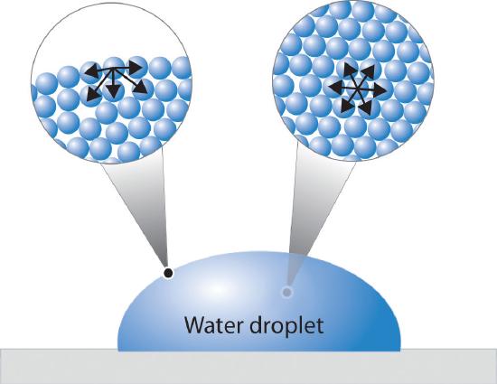 diagram showing molecular forces in a liquid, forces on surface molecules vs bulk molecules, scientific illustration