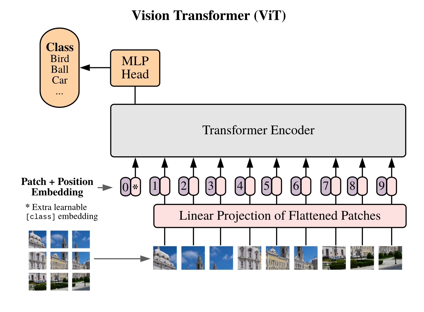 Scientific Diagram of Embedding