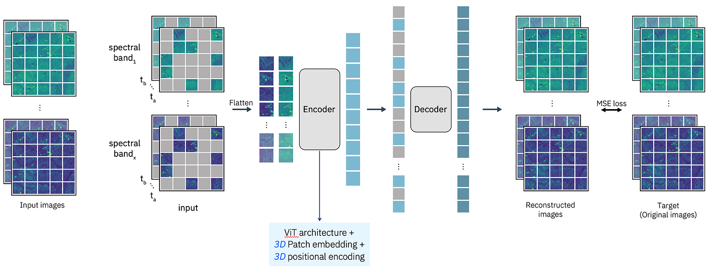 Prithvi-100M architecture diagram