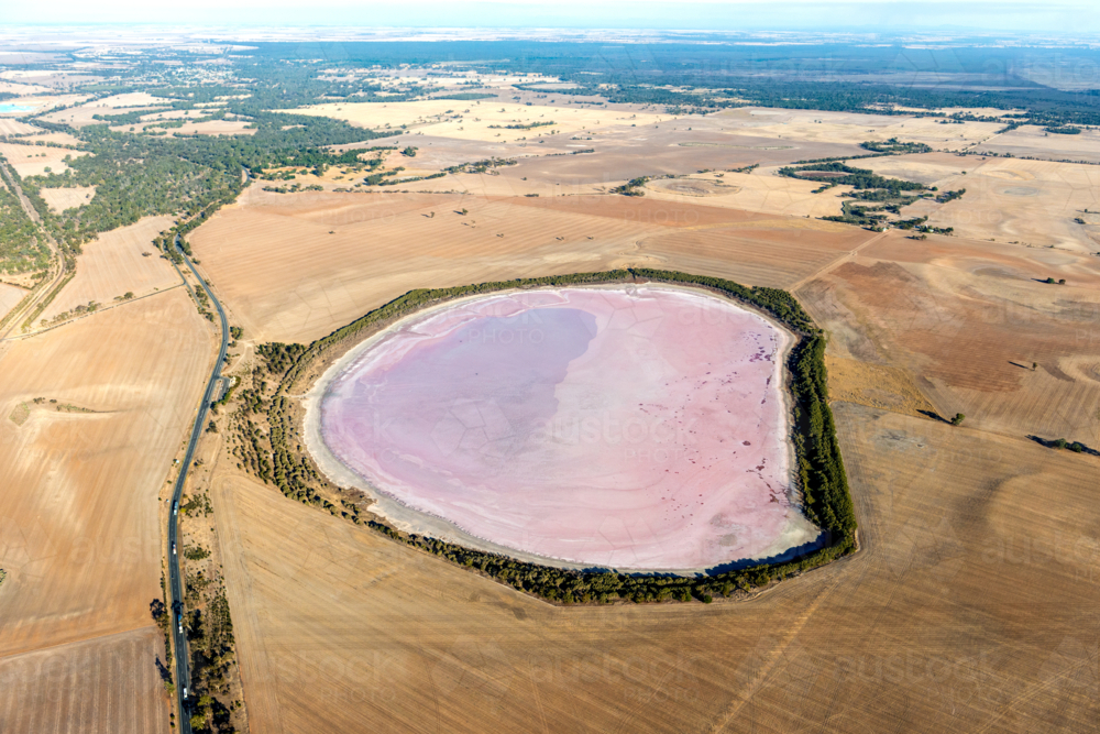 Pink Salt Lake Aerial