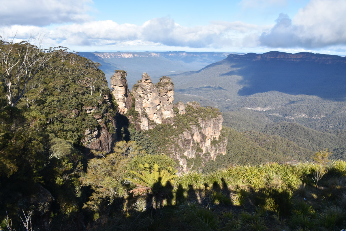 Blue Mountains Australia eucalyptus forest hiking trail